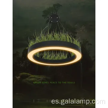 Luz colgante de anillo LED moderno elegante